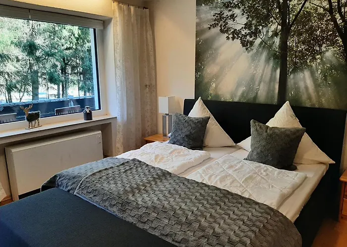 Am Bikepark Mit Kamin Und Sauna * ヴィンターベルク